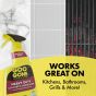 Heavy Duty Cleaner & Degreaser